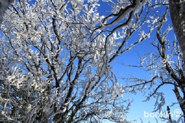 Thời tiết 27/1: Rét hại, băng tuyết ở miền Bắc chuẩn bị kết thúc - ảnh 1