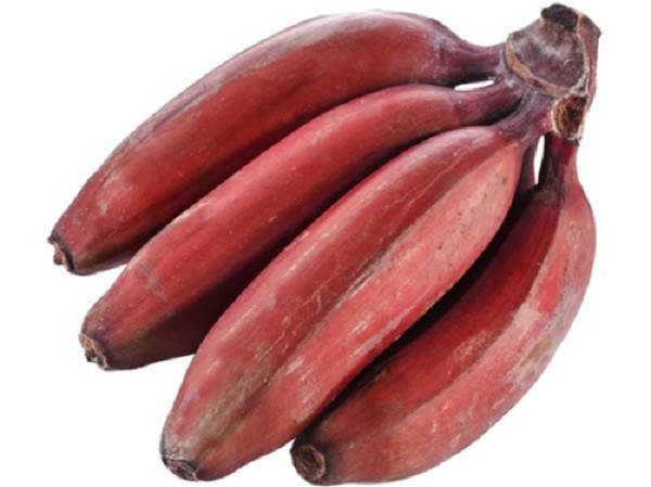 Tác dụng tuyệt vời mà bạn không ngờ đến của chuối đỏ - ảnh 1