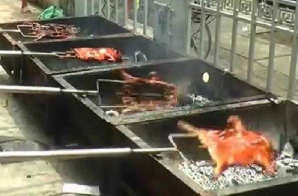 Cẩn thận: Lợn sữa bệnh 'biến' thành đặc sản - ảnh 2