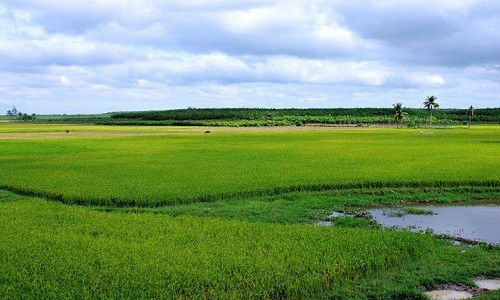 Hồ Dầu Tiếng - điểm đến mới mẻ thích hợp cho chuyến trải nghiệm cuối tuần - anh 4