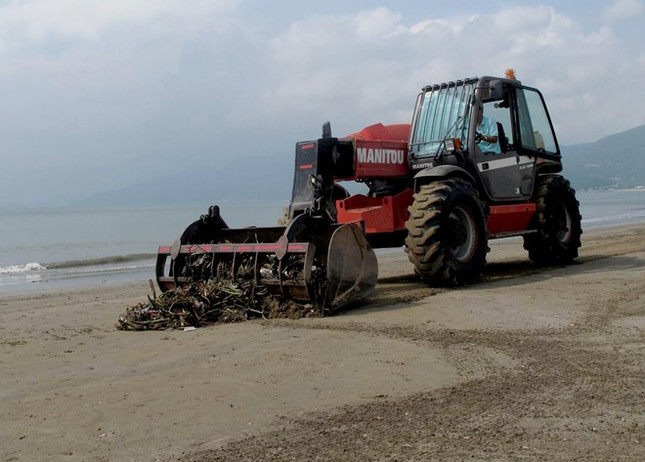 Hàng chục tấn bèo phủ suốt 3 km bãi biển Quy Nhơn - ảnh 1