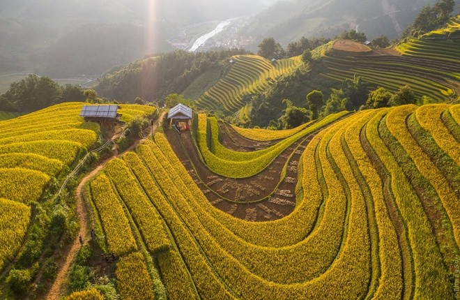 Ruộng bậc thang này được xếp hạng di tích quốc gia đặc biệt vào năm nào?