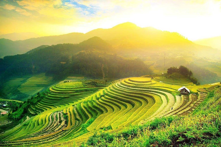 Diện tích của ruộng bậc thang này khoảng bao nhiêu?