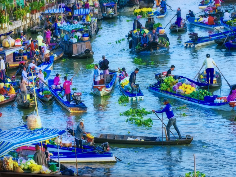 Đồng bằng sông Cửu Long gồm mấy tiểu vùng?