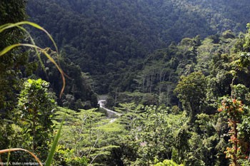 Về giá trị đa dạng sinh học, New Guinea chiếm bao nhiêu % trên bề mặt Trái đất?
