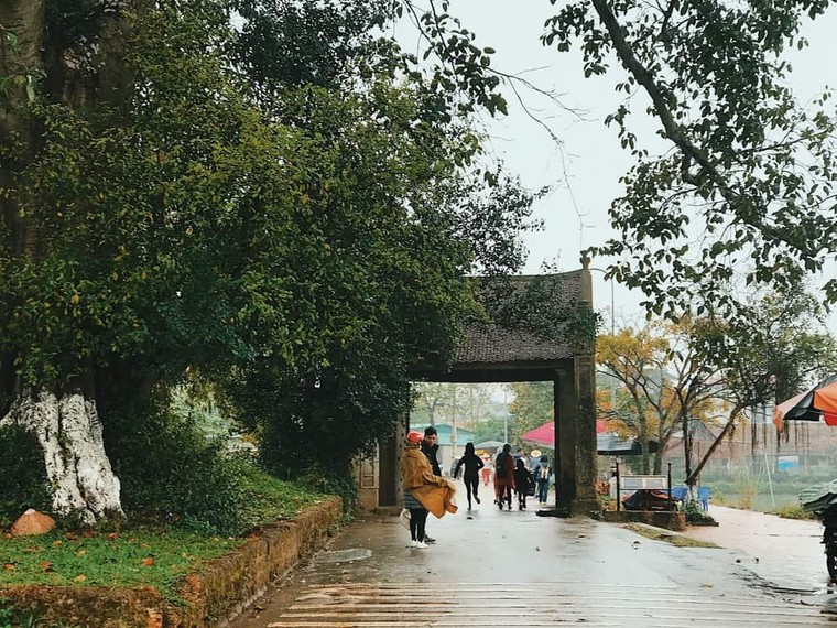 Làng cổ Đường Lâm được xếp hạng di tích quốc gia vào năm bao nhiêu?