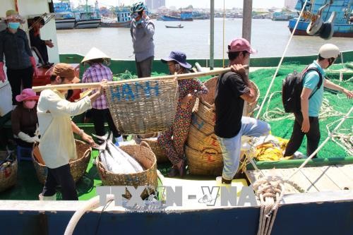 Việt Nam khẳng định quyết tâm chống đánh bắt cá trái phép ảnh 1