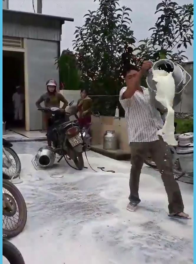 Nông dân đổ sữa tại Nghệ An, Vinamilk lên tiếng ảnh 1