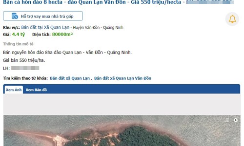 Rao bán đảo, đất rừng tại Vân Đồn ảnh 1