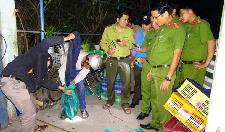 Khởi tố, bắt tạm giam người phụ nữ buôn động vật quý hiếm ảnh 3