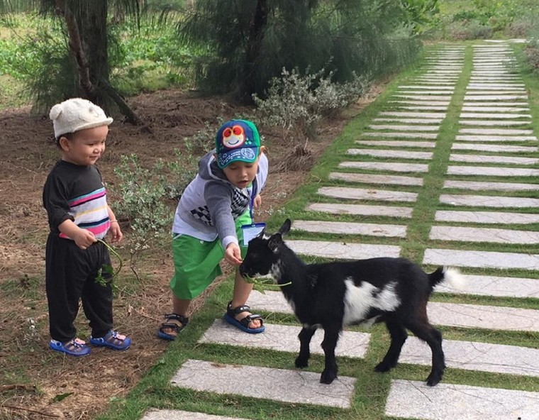 Cho một mùa hè lý thú cùng cả gia đình với gói nghỉ dưỡng Happy Family từ Tập đoàn FLC ảnh 6