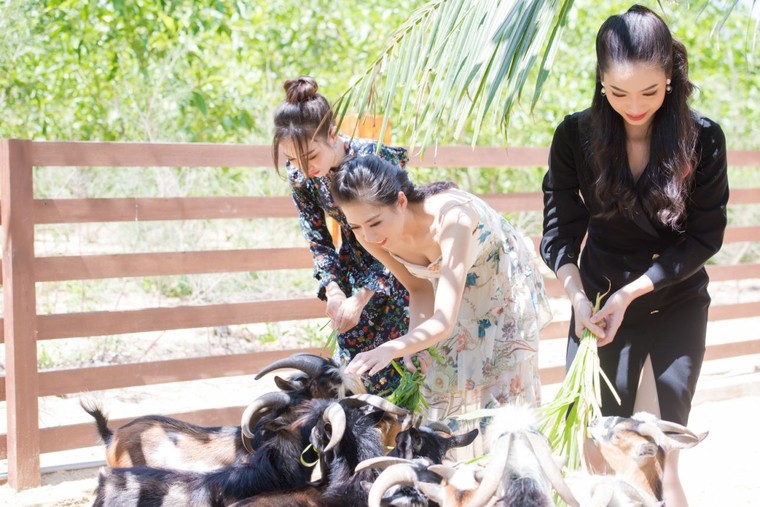 Local Retreat - Sống chậm lại để cảm nhận nhiều hơn ảnh 5