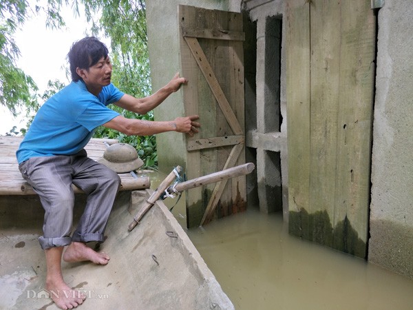 Dân Ninh Bình liều mình vượt lũ cứu tài sản bị nhấn chìm trong nước ảnh 7