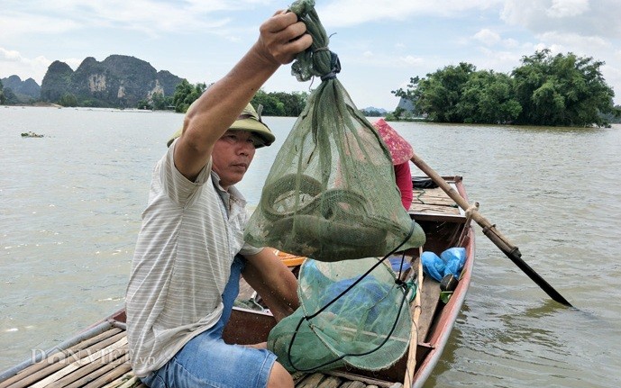 Dân Ninh Bình liều mình vượt lũ cứu tài sản bị nhấn chìm trong nước ảnh 9