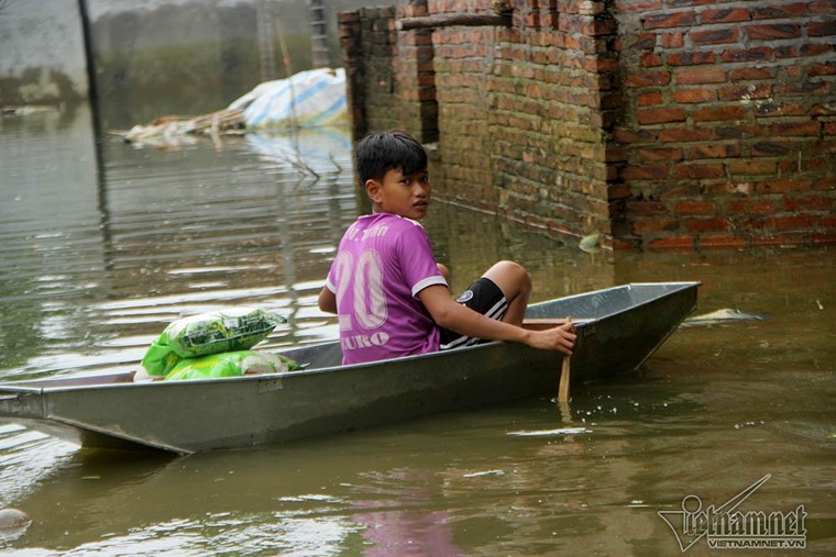 Khung cảnh khó ngờ nơi rốn lũ Chương Mỹ sau nửa tháng chìm trong nước ảnh 11