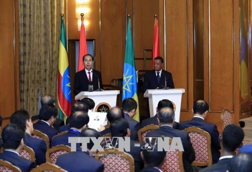 Chủ tịch nước Trần Đại Quang hội đàm với Tổng thống Ethiopia ảnh 2