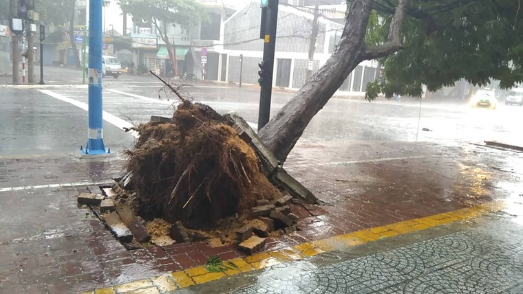 ẢNH: Người dân Vũng Tàu khốn khổ khi bão số 9 bắt đầu đổ bộ ảnh 12