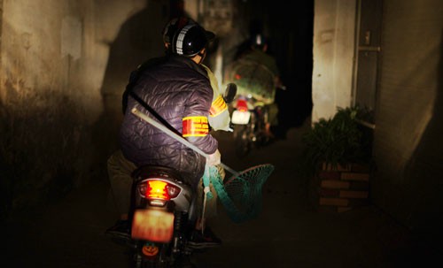 Chó thả rông bị bắt 'trong 3 phút' ở Hà Nội ảnh 1