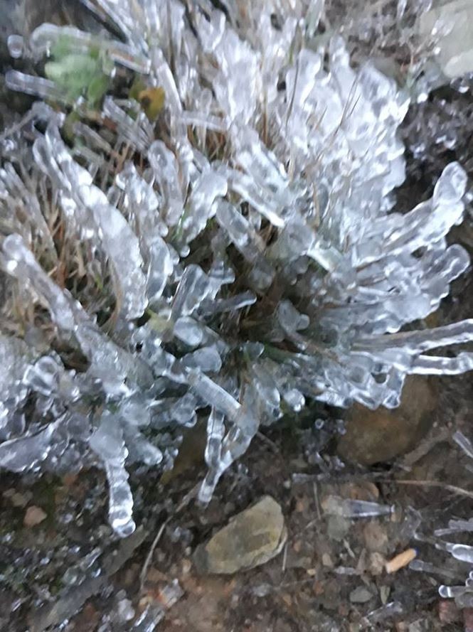 Băng tuyết xuất hiện phủ trắng Mẫu Sơn ảnh 3