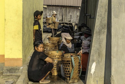 Người dân Gia Lai vật lộn với nắng hạn ảnh 2