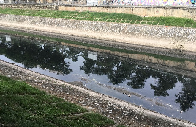 Giải thích hiện tượng cá chết trên sông Tô Lịch ảnh 1