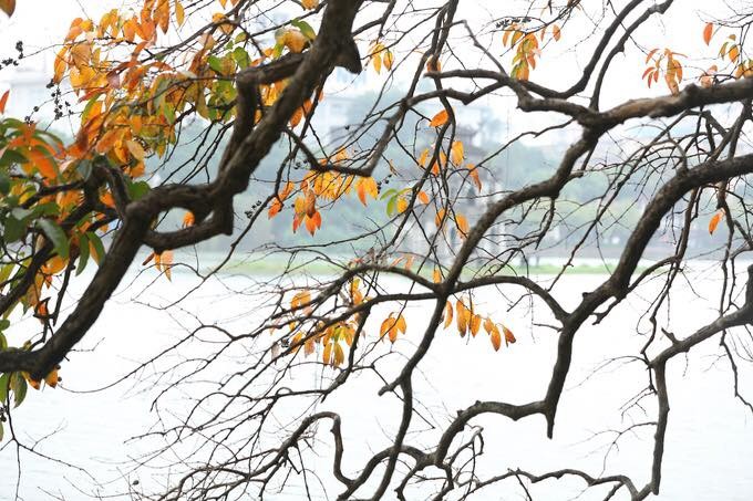 Hà Nội - Sao Yêu Đến Thế ảnh 1