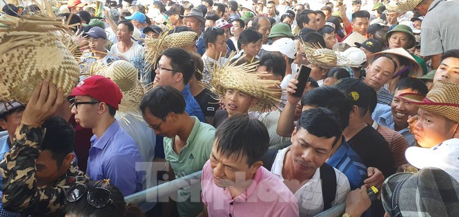 Vạn người chen lấn, xô đẩy xem chọi trâu Đồ Sơn ảnh 2