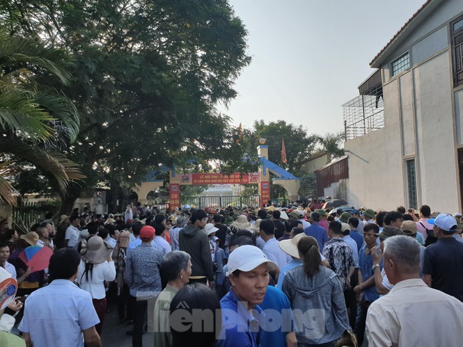 Vạn người chen lấn, xô đẩy xem chọi trâu Đồ Sơn ảnh 1