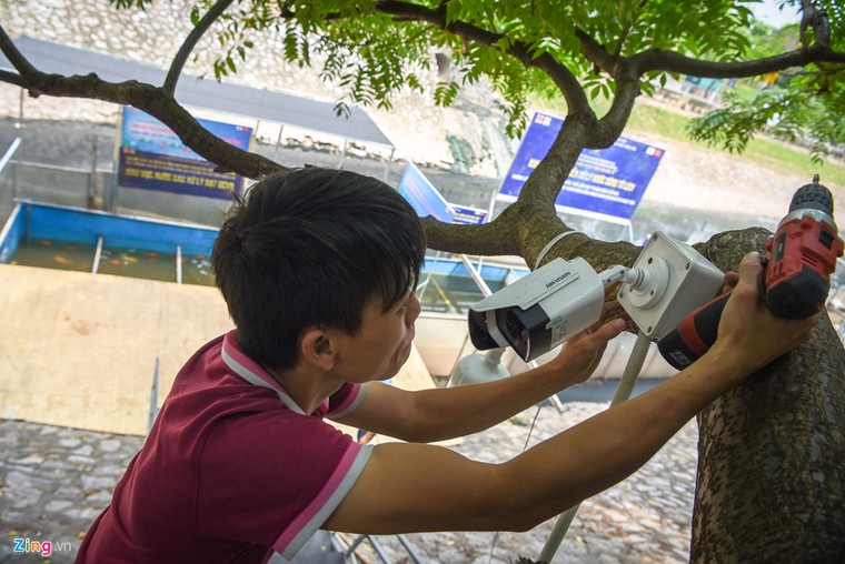 Cá Koi lờ đờ, chết ngửa bụng sau 2 ngày ở bể xử lý nước sông Tô Lịch ảnh 10