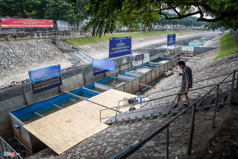 Cá Koi lờ đờ, chết ngửa bụng sau 2 ngày ở bể xử lý nước sông Tô Lịch ảnh 4