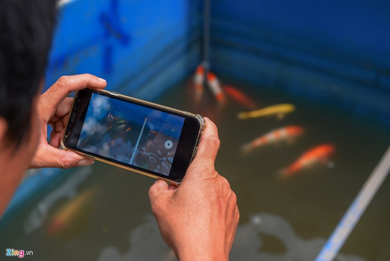 Cá Koi lờ đờ, chết ngửa bụng sau 2 ngày ở bể xử lý nước sông Tô Lịch ảnh 6