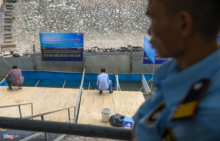 Cá Koi lờ đờ, chết ngửa bụng sau 2 ngày ở bể xử lý nước sông Tô Lịch ảnh 8