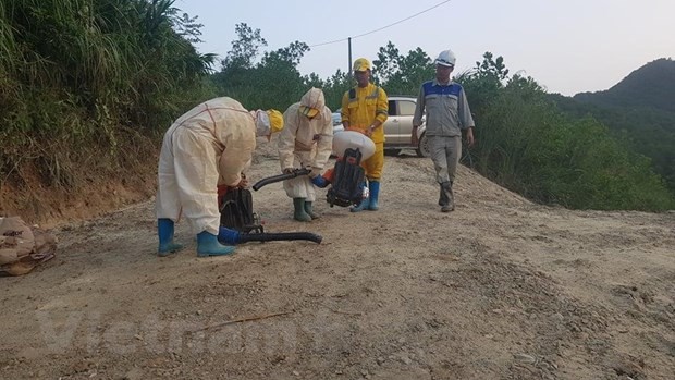 Vụ xả dầu thải đầu nguồn nước: Dùng vi sinh vật 'ăn dầu' xử lý ảnh 2