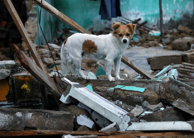 'Rốn lũ' Bình Định sau bão ảnh 8