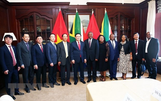 Phó Thủ tướng Vương Đình Huệ thăm làm việc Cộng hòa Nam Phi ảnh 1