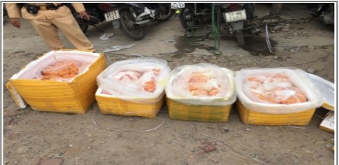 Hà Nội: Thu giữ trên 1 tạ trứng gà non bốc mùi hôi thối đang trên đường tiêu thụ ảnh 1