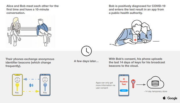 Apple, Google hợp tác theo dõi dịch COVID-19 bằng ứng dụng điện thoại ảnh 1