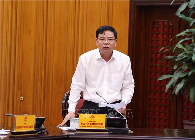 Thủ tướng: Không lơ là, chủ quan trong phòng, chống thiên tai ảnh 3