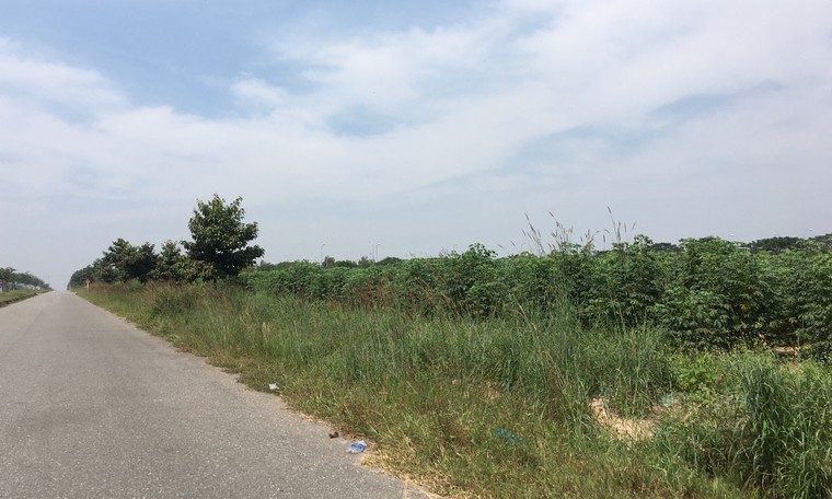 Công ty Asia Invest bị tố lừa đảo chiếm đoạt hơn 70 tỷ đồng ảnh 1