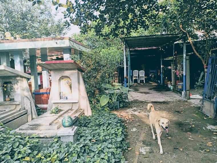 Sống nơi cửa mả: Bài 1 - Láng giềng âm dương ảnh 4