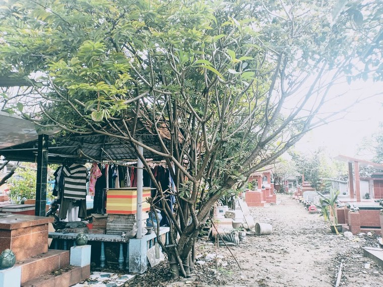 Sống nơi cửa mả: Bài 1 - Láng giềng âm dương ảnh 6