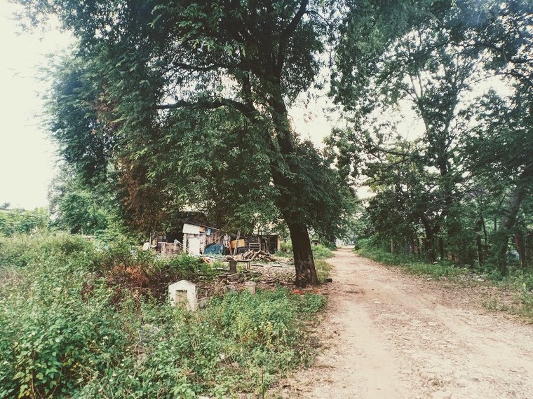 Sống nơi cửa mả - Bài 2: Cư dân ‘thành phố buồn’ ảnh 6