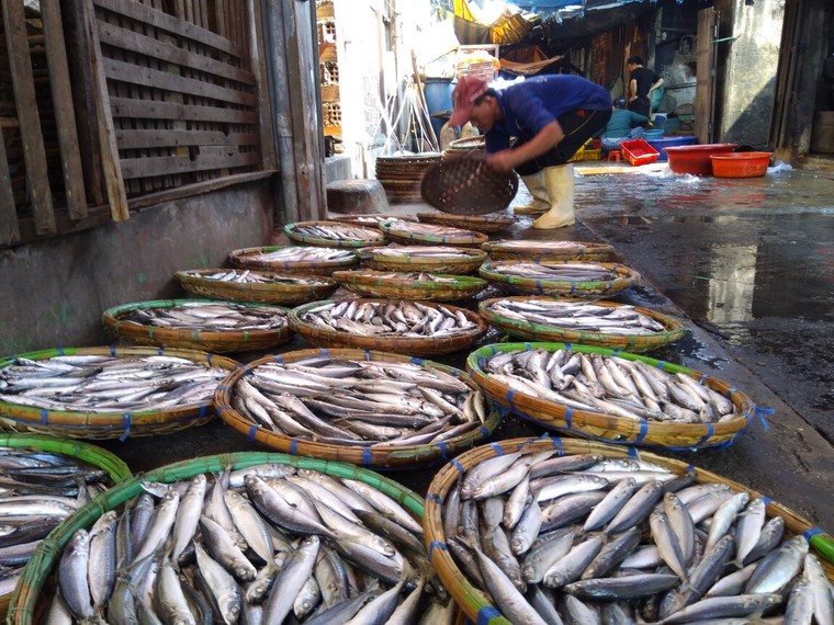 Những ánh lửa không tắt ảnh 1