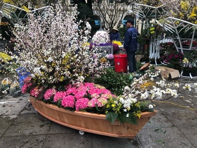 Lễ hội hoa anh đào Nhật Bản - Hà Nội 2019: Náo nức trước giờ khai mạc ảnh 15