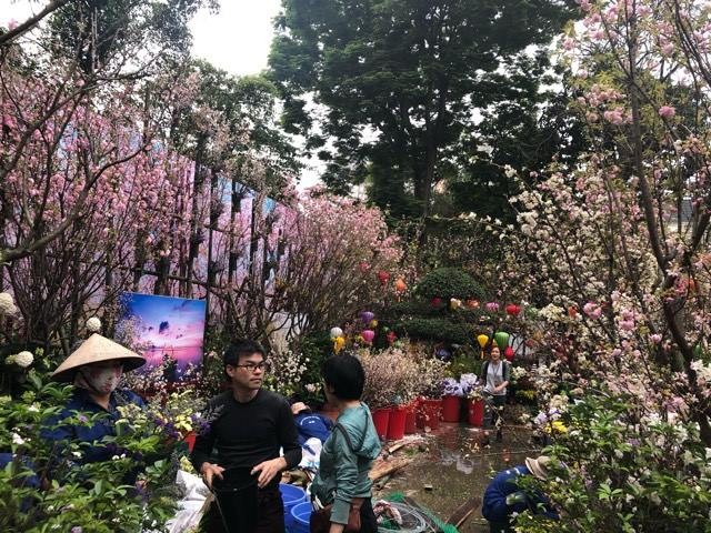 Lễ hội hoa anh đào Nhật Bản - Hà Nội 2019: Náo nức trước giờ khai mạc ảnh 4