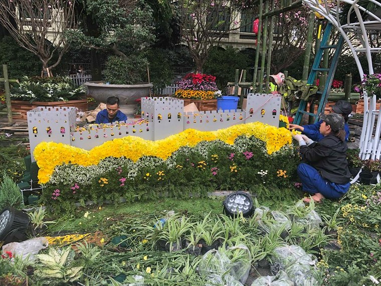 Lễ hội hoa anh đào Nhật Bản - Hà Nội 2019: Náo nức trước giờ khai mạc ảnh 3