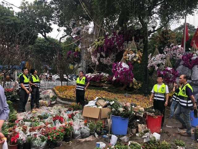 Lễ hội hoa anh đào Nhật Bản - Hà Nội 2019: Náo nức trước giờ khai mạc ảnh 9