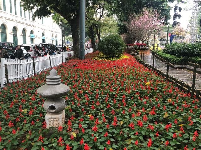 Lễ hội hoa anh đào Nhật Bản - Hà Nội 2019: Náo nức trước giờ khai mạc ảnh 18