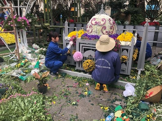 Lễ hội hoa anh đào Nhật Bản - Hà Nội 2019: Náo nức trước giờ khai mạc ảnh 2