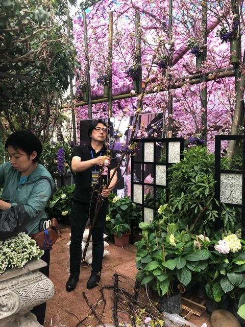 Lễ hội hoa anh đào Nhật Bản - Hà Nội 2019: Náo nức trước giờ khai mạc ảnh 11